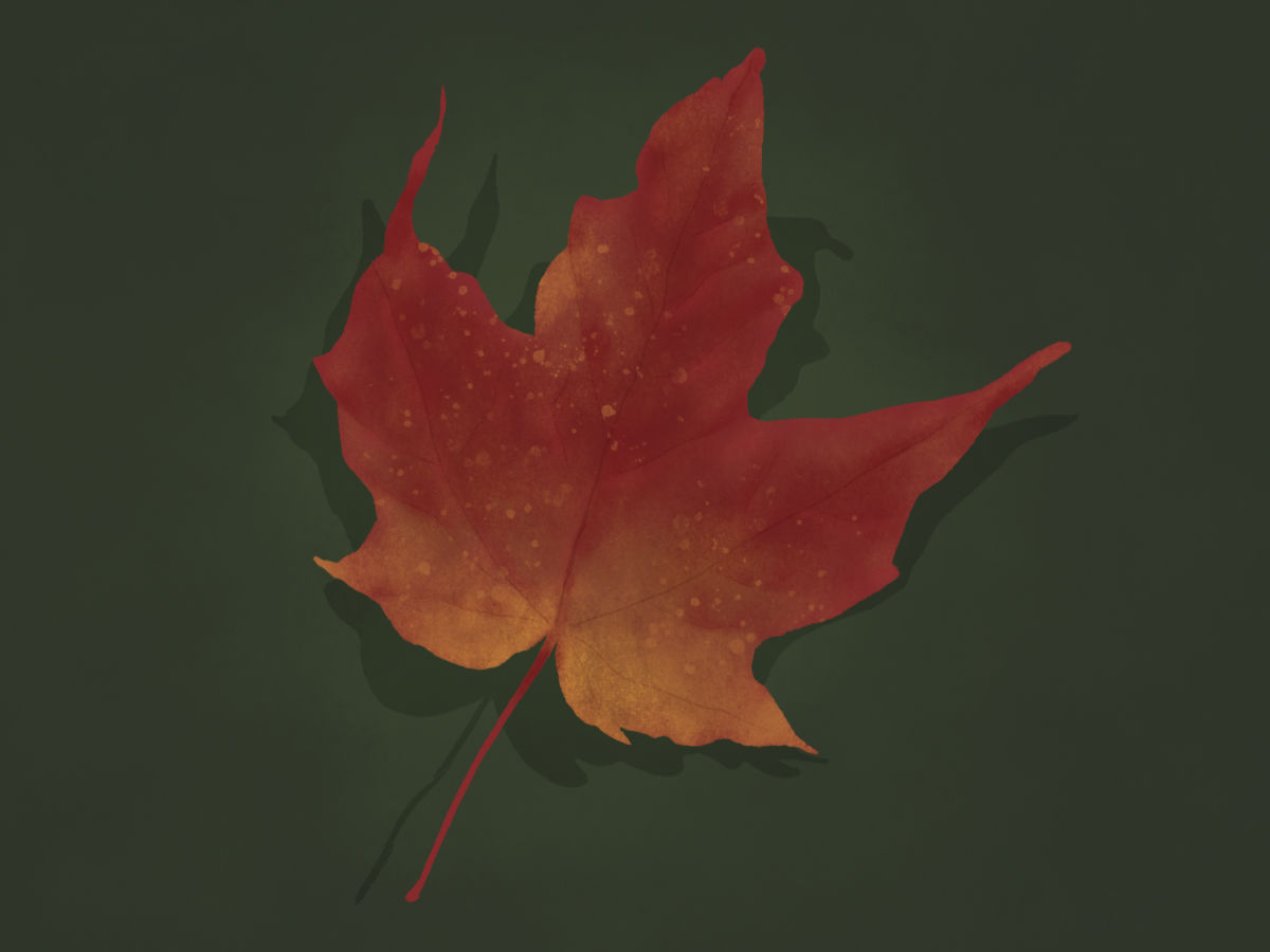 Fall Leaf