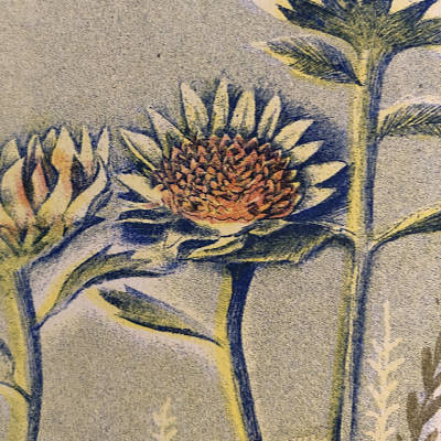Detail 3